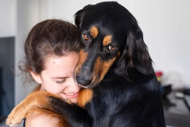 Clean pet-friendly home shared with a dog
