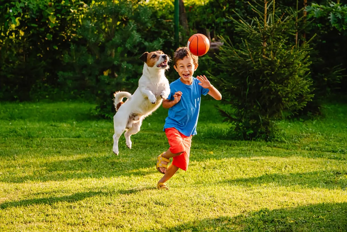 A child playing with a happy dog outdoors